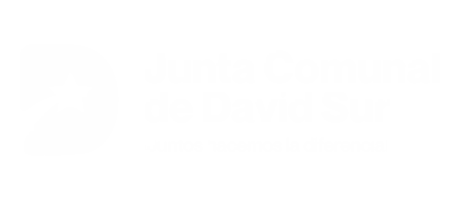 Junta Comunal David Sur